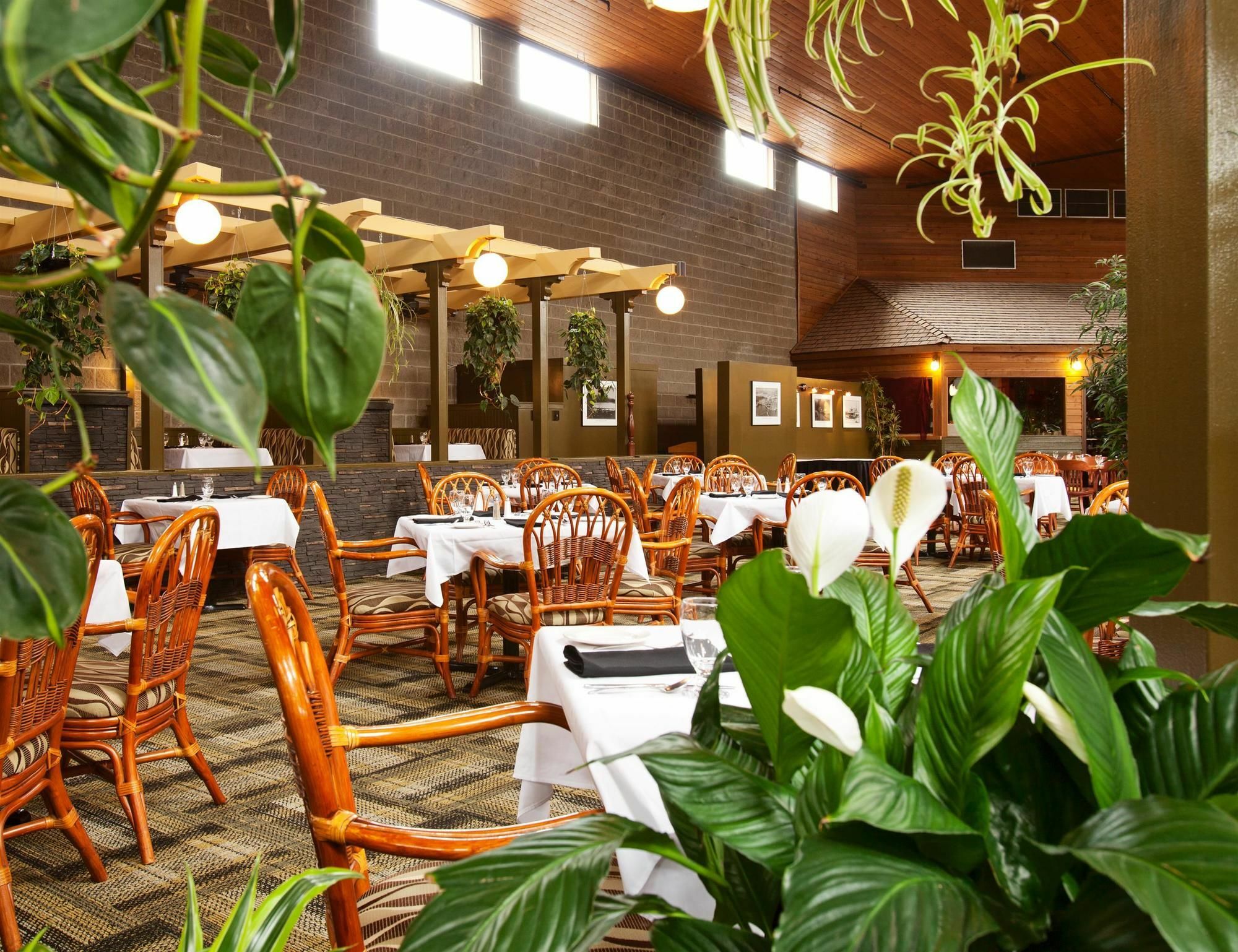 Surestay Hotel By Best Western Chilliwack Exteriér fotografie